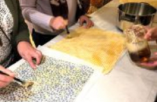 Workshops januari 2026